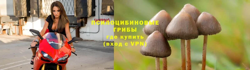 Псилоцибиновые грибы Magic Shrooms  купить наркотик  Трёхгорный 